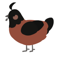 A russet and black chicken with a head pattern