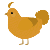 A orange and ochre chicken with a lace pattern