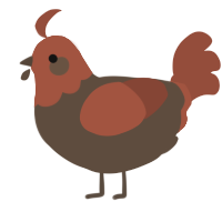 A bark and russet chicken with a head pattern