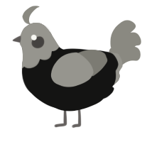 A black and ash chicken with a head pattern
