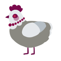 A ash and mist chicken with a head pattern