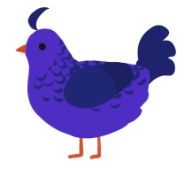 A indigo and navy chicken with a half-lace pattern