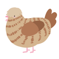 A beige and brown chicken with a bar pattern