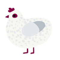 A white and mist chicken with a speckle pattern