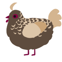 A bark and beige chicken with a half-lace pattern