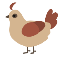 A beige and russet chicken