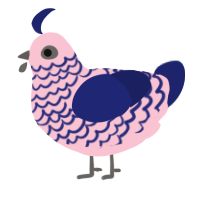 A rose and navy chicken with a lace pattern