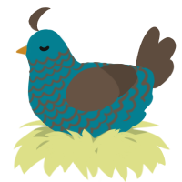 A sea and bark chicken with a lace pattern
