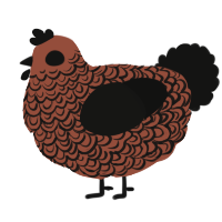 A russet and black chicken with a double-lace pattern