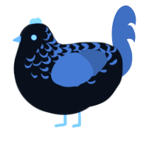 A black and ash chicken with a half-lace pattern