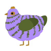 A lilac and olive chicken with a bar pattern