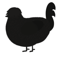 A sable and black chicken with a double-lace pattern