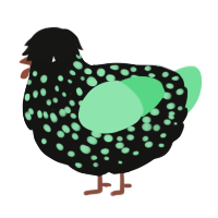 A black and spring chicken with a speckle pattern