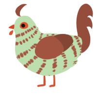 A gluppy and russet chicken with a bar pattern
