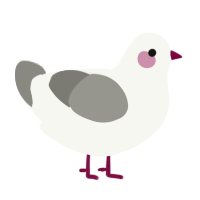 A white and ash chicken