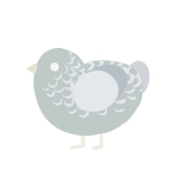 A silver and mist chicken with a half-lace pattern