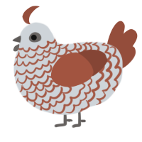 A mist and russet chicken with a lace pattern