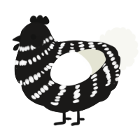 A sable and white chicken with a bar pattern