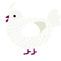 A white chicken with a lace pattern