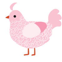 A rose chicken with a double-lace pattern