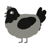 A ash and black chicken with a head pattern