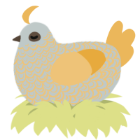 A silver and honey chicken with a double-lace pattern