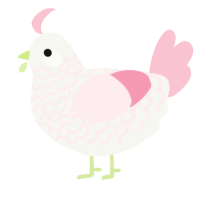 A white and rose chicken with a lace pattern