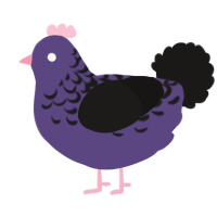 A overcast and sable chicken with a half-lace pattern