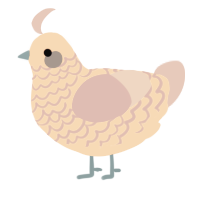 A sea and viridian chicken with a lace pattern