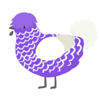 A blurple and white chicken with a lace pattern
