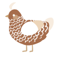 Cafe, a brown and cream chicken with a lace pattern