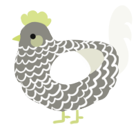 A ash and white chicken with a lace pattern
