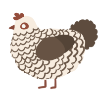 A cream and bark chicken with a lace pattern