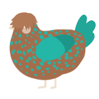 A brown and turquoise chicken with a speckle pattern