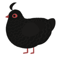 A black and sable chicken with a lace pattern