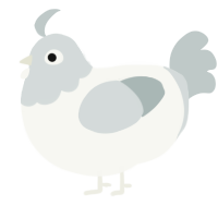 A white and silver chicken with a head pattern