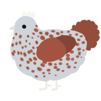 A mist and russet chicken with a speckle pattern