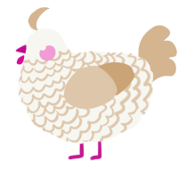 A white and beige chicken with a lace pattern