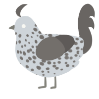 A mist and grey chicken with a speckle pattern