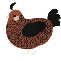 A russet and black chicken with a double-lace pattern