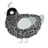A black and silver chicken with a double-lace pattern