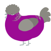 A plum and ash chicken with a neck-band pattern