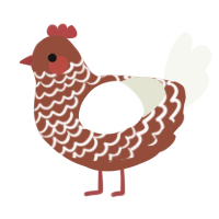 A russet and white chicken with a lace pattern