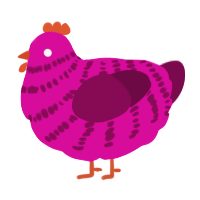 A fuchsia and wine chicken with a bar pattern