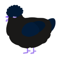 A sable and tumblr chicken