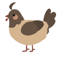 A beige and bark chicken with a head pattern