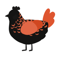 A black and vermilion chicken with a half-lace pattern
