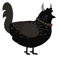 A black and bark chicken with a half-lace pattern