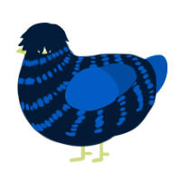 A tumblr and ultramarine chicken with a bar pattern