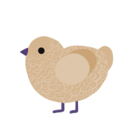 (unnamed), a beige chicken with a double-lace pattern